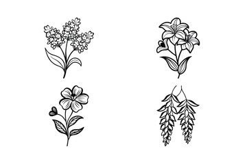 Floral Collection Featuring Lilac, Lily, And Vine Botanical Illustrations