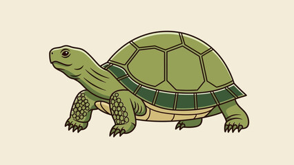 Friendly green cartoon turtle walking in a simple illustration.