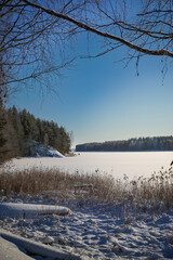 Lake landscape in winter. Calm winter view at the lakeshore.  Frozen lake, snow and trees. Calm and tranquil atmosphere.