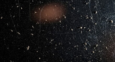 Obraz premium Gritty Grunge Film Texture with Pervasive Dust and Moody Light Leaks.