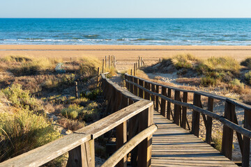A scenic coastal path in Portugal. Wooden trail winds through fragrant pine woods and golden dunes, opening onto a vast, long beach stretching along the Atlantic Ocean under bright sky.