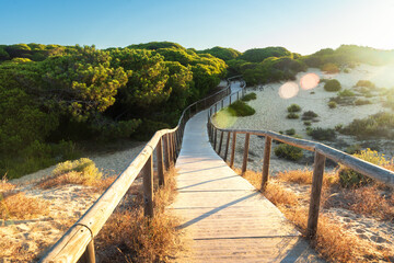 Sandy beach and wooded path leading into a pine forest on a sunny morning in Portugal. The Atlantic Ocean glistens under clear skies. © dzmitrock87