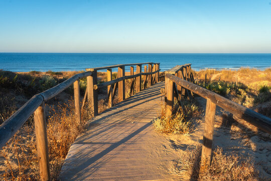 Sunny morning on the Portuguese coast with long sandy beach. Wooden path winds from fragrant pine forest into the Atlantic ocean, offering classic scene of coastal tranquility and natural beauty.