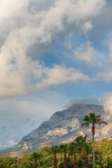 Fototapeta premium A scenic landscape photograph of the Taurus Mountains in the Kemer region of Turkey. Clear morning, sunlit pine forests, palms under a bright blue sky with cumulus clouds, natural beauty.