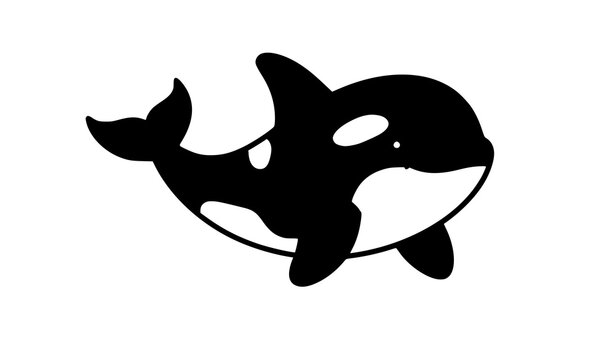 vector illustration of a black and white shark