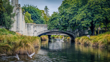 Fototapeta premium Avon River in Christchurch flows beneath a stone bridge adorned with classical architectural elements. The river is flanked by lush vegetation, including dense trees and tall grasses along the banks. 