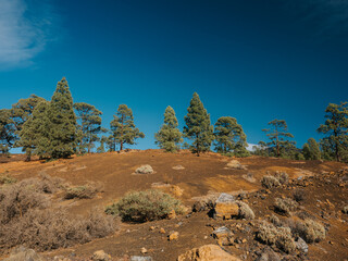 Santiago del Teide, Teneryfa, Wyspy Kanaryjskie, Hiszpania © Rafał Paluszek