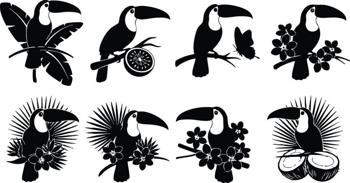 Vector art close up toucan perched on branch with tropical flowers palm leaves and coconut slice silhouette set in bold black graphic style flat tropical icons