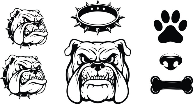 Bold vector art aggressive bulldog heads with spiked collar side views front view spiked collar separate paw print nose bone icons in black and white style