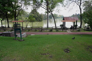 Paisaje con fondo de lago y palomas