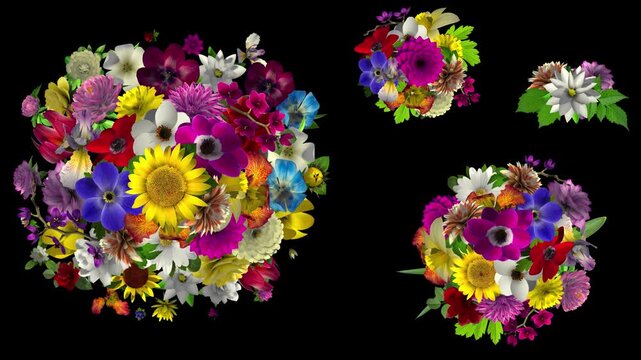 A variety of flower species blossoming and forming bouquets of four different sizes. Includes luma matte for easy compositing.