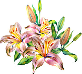 A vibrant watercolor illustration of blooming pink lilies with green buds and leaves. This elegant botanical composition is perfect for spring wedding invitations, greeting cards, and floral decor.