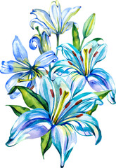 Elegant watercolor illustration featuring a bouquet of vibrant white lilies with detailed petals and fresh green buds. This botanical composition is ideal for spring invitations, cards