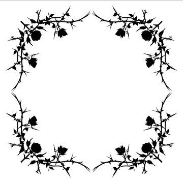 gothic black silhouette thorn rose square frame in white background