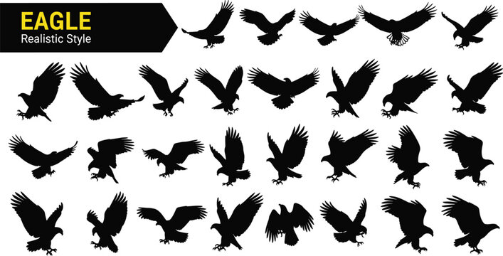 Eagle silhouette collection showing multiple flying and perching poses realistic style bird of prey wings talons arranged in grid wildlife design flat vector illustration