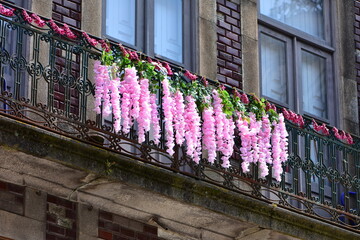 Row of pink artificial wisteria hanging flowers on balcony. Location: Porto Portugal