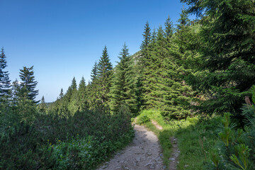 Obraz premium Rila Mountain near Malyovitsa peak, Bulgaria