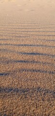 Fine beach sand texture with gentle wave ripple patterns formed by water and wind. Natural coastal background with soft light, minimal composition and copy space for design use