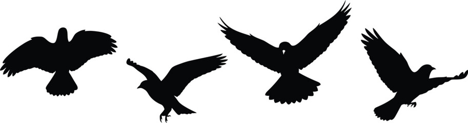 Obraz premium Silhouettes of Birds in Flight