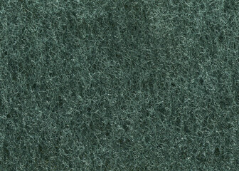 Fototapeta premium Abstract green fluffy bristle surface close-up background. 