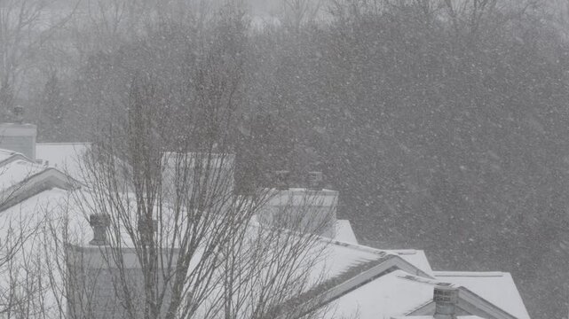 Winter Storm Gianna in Greenville, South Carolina. Strong Snow Blizzard in Winter, Greenville, South Carolina. Blizzard Strong Wind And Heavy Snow Lash Town. Heavy Snowstorm in Residential Area.