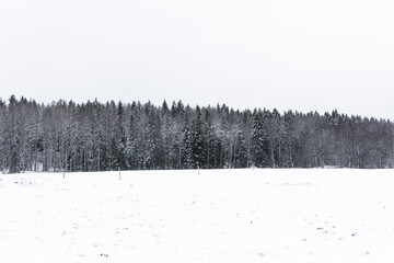 Naklejka premium Scenic view of field with tree covered in snow.