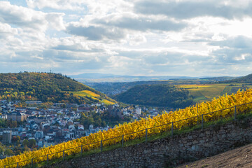 Weinberg vor Stadtblick Bingen