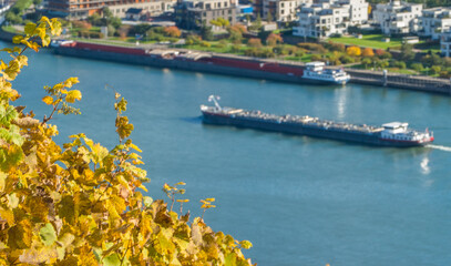 Frachter auf Rhein im Herbst Deutschland