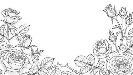 Black and white line drawing of roses and leaves