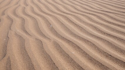 Fototapeta premium Close-up sandy beach taken low angle highlighting intricate rippled patterns sand texture clearly visible varying