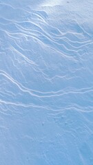 Fototapeta premium Winter blue background on sunny day. Vertical background with snow waves after snowstorm. Calm winter scene, gentle snow for packaging, cosmetics, and winter design.