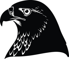 Falcon Head Illustration Wildlife Design Graphic Element Vector