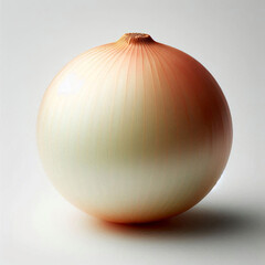 白い空間の主役