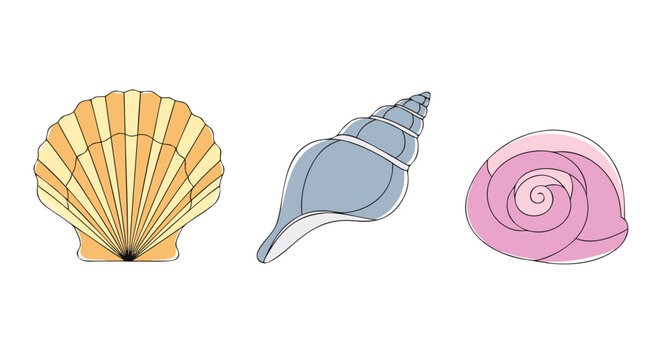 Colorful illustration set featuring a scallop shell a spiral whelk and a pink sea snail