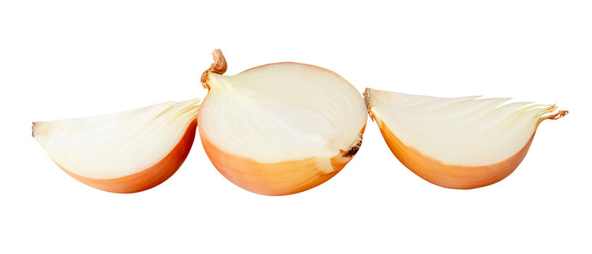 White or big onion bulb in half and quarters in stack isolated on white background with clipping path