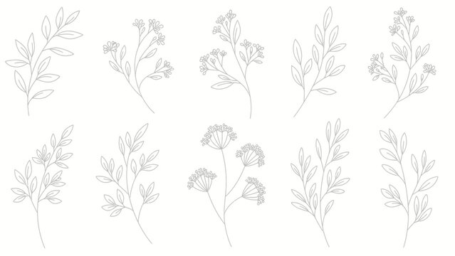 Collection of Delicate Botanical Line Art Illustrations.