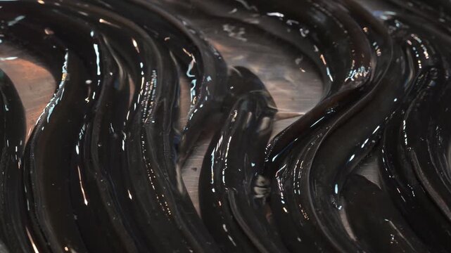 Eels laying on a metallic surface in a market during the daytime in a city location