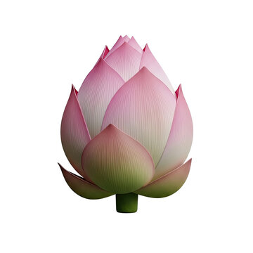 Pink Lotus Flower Bud with Green Stem Subtle Gradient Background Soft Light