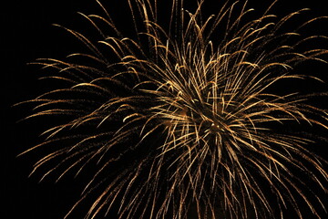 dual bursting fireworks in the night