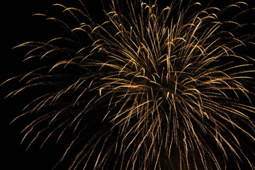 scatter lights of a firework at night