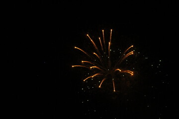 shining fireworks in the night sky