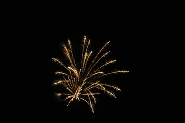 beautiful fireworks bursting in the night sky
