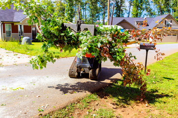 Machine crawler loader is removing large branches from suburban road in signs of recent storm damage. © ungvar