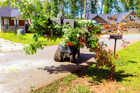 Machine crawler loader is removing large branches from suburban road in signs of recent storm damage.