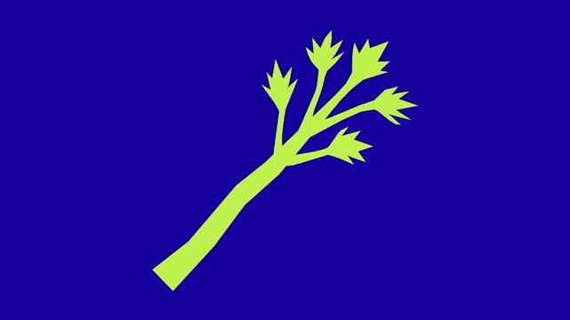 Celery animation on blue screen 