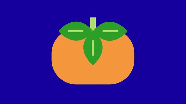 Persimmon fruit animation on blue screen