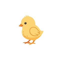 Adorable Cartoon Yellow Chick Standing On Orange Background With Soft Shadow