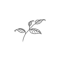 leaf vector in the form of lines is good for background