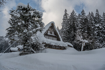 越中五箇山相倉合掌造り集落の雪景色