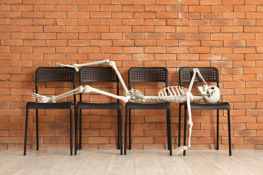 Human skeleton model lying on chairs near brick wall